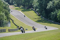 Middle 1 Group White Bikes